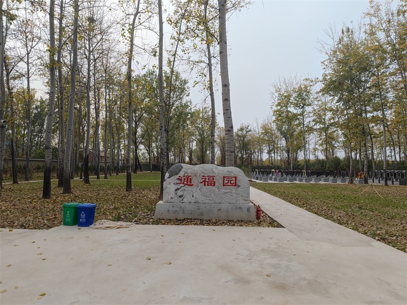 1680503111641494.jpg